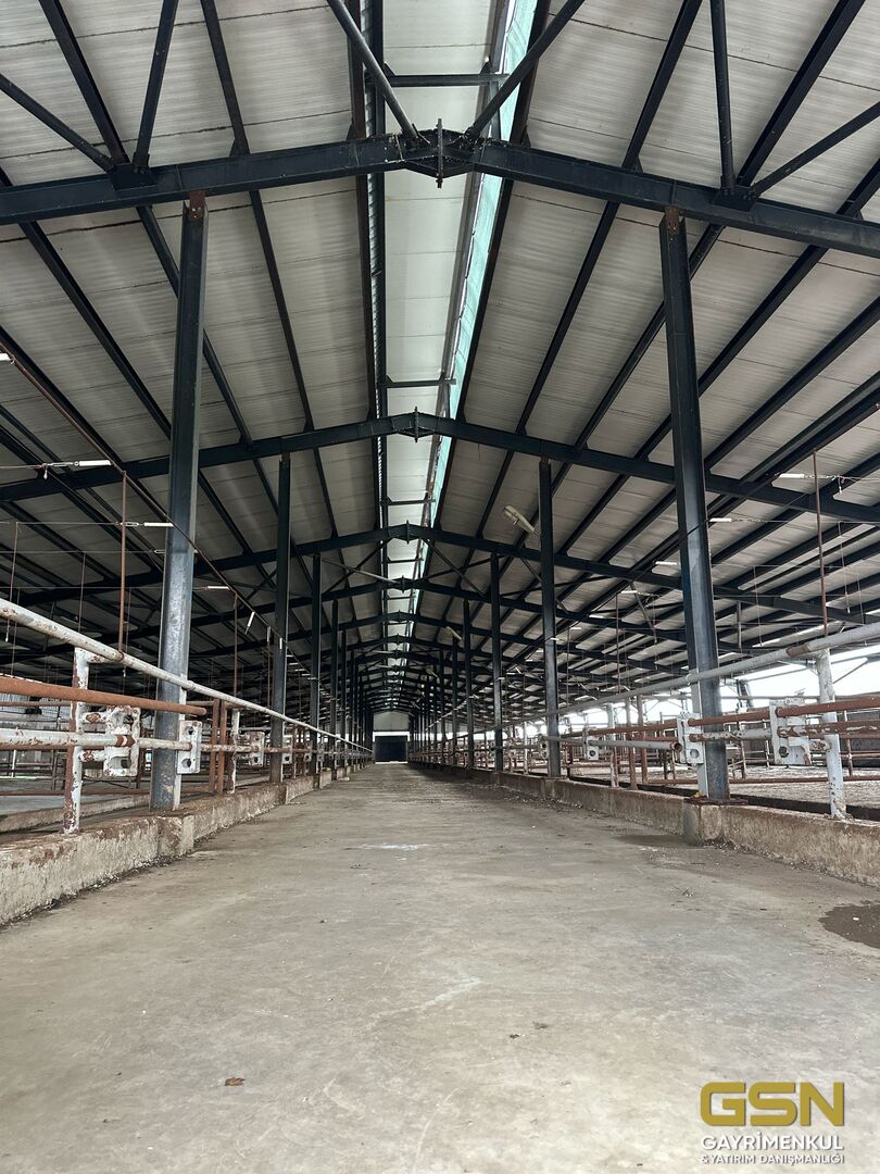 2-BALIKESİR BANDIRMA DEDEOBA KÖYÜNDE SATILIK RUHSATLI FAAL BESİ ÇİTFLİĞİ